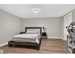 311 Lessard Dr Nw Nw, Edmonton, AB T6M1A6 Photo 33