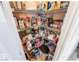 12060 19 Av Sw, Edmonton, AB T6W1W5 Photo 10