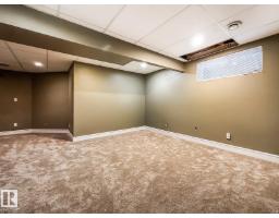 12060 19 Av Sw, Edmonton, AB T6W1W5 Photo 34