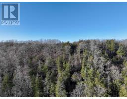 695 County Road 7, Prince Edward County, ON K0K2T0 Photo 8