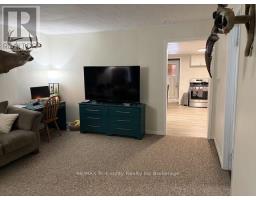 163406 Brownsville Road, South West Oxford, ON N0L1C0 Photo 13