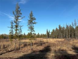 38116 Belair Road, Belair, MB R0E0E0 Photo 11