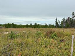 38116 Belair Road, Belair, MB R0E0E0 Photo 17