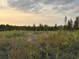 38116 Belair Road, Belair, MB R0E0E0 Photo 21