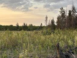 38116 Belair Road, Belair, MB R0E0E0 Photo 22