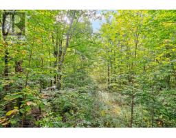 396 Dokken Road, Tay Valley, ON K7H3C9 Photo 45