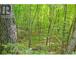 396 Dokken Road, Tay Valley, ON K7H3C9 Photo 49