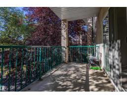 #316 11325 83 St Nw, Edmonton, AB T5B4E5 Photo 28