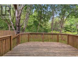 95 Whistling Hills Drive, Toronto, ON M1V3K7 Photo 13
