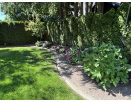 4577 217 Street, Langley, BC V3A9B7 Photo 6