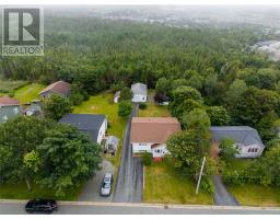 188 Old Petty Harbour Road thumbnail 2