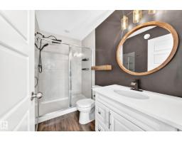 20008 19 Av Nw Nw, Edmonton, AB T6M0X8 Photo 38