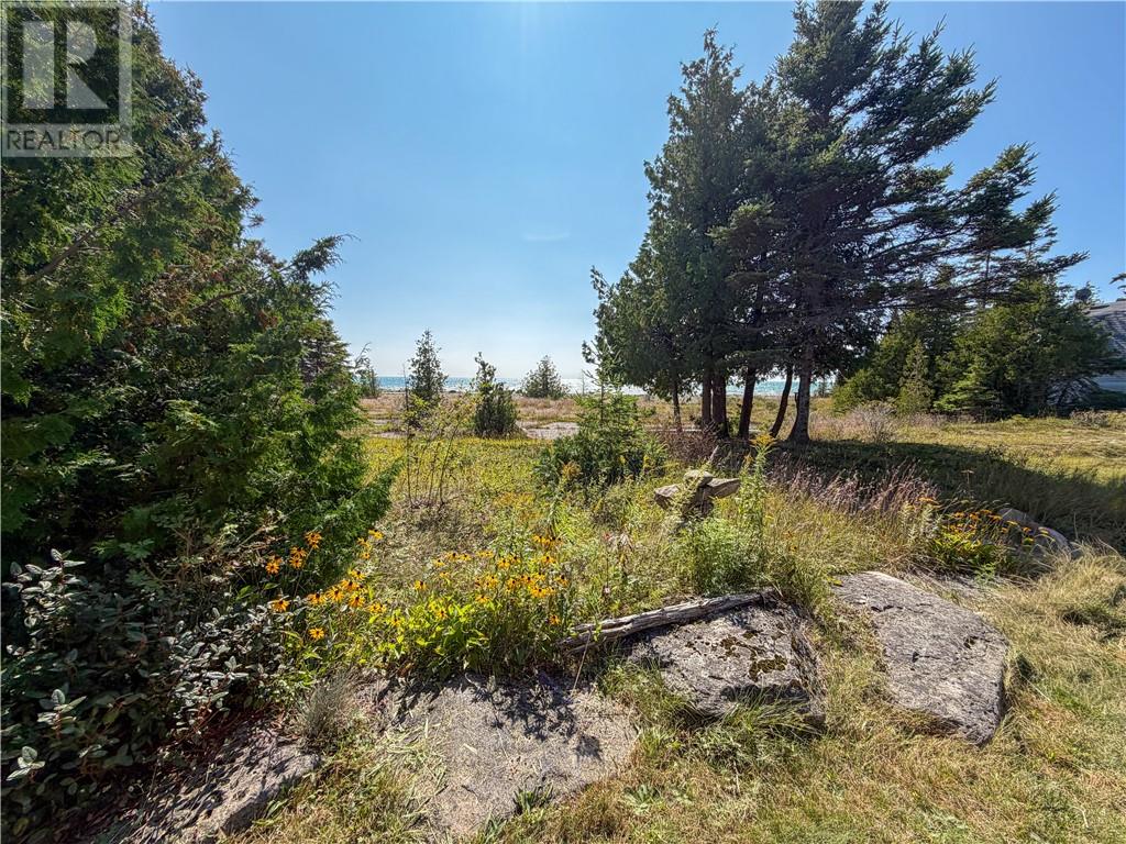 619 Lake Huron Drive - Image 53