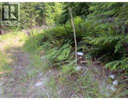 Lot G Cotton Bay Road, Gambier Island, BC V0N1V0 Photo 12