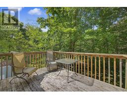 175 Lynedoch Road, Norfolk, ON N4B2W4 Photo 7