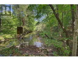 175 Lynedoch Road, Norfolk, ON N4B2W4 Photo 9