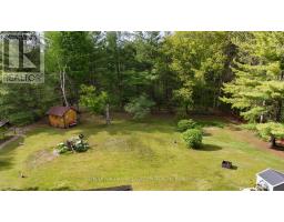 784 Old Norwood Road, Havelock Belmont Methuen, ON K0L1Z0 Photo 38