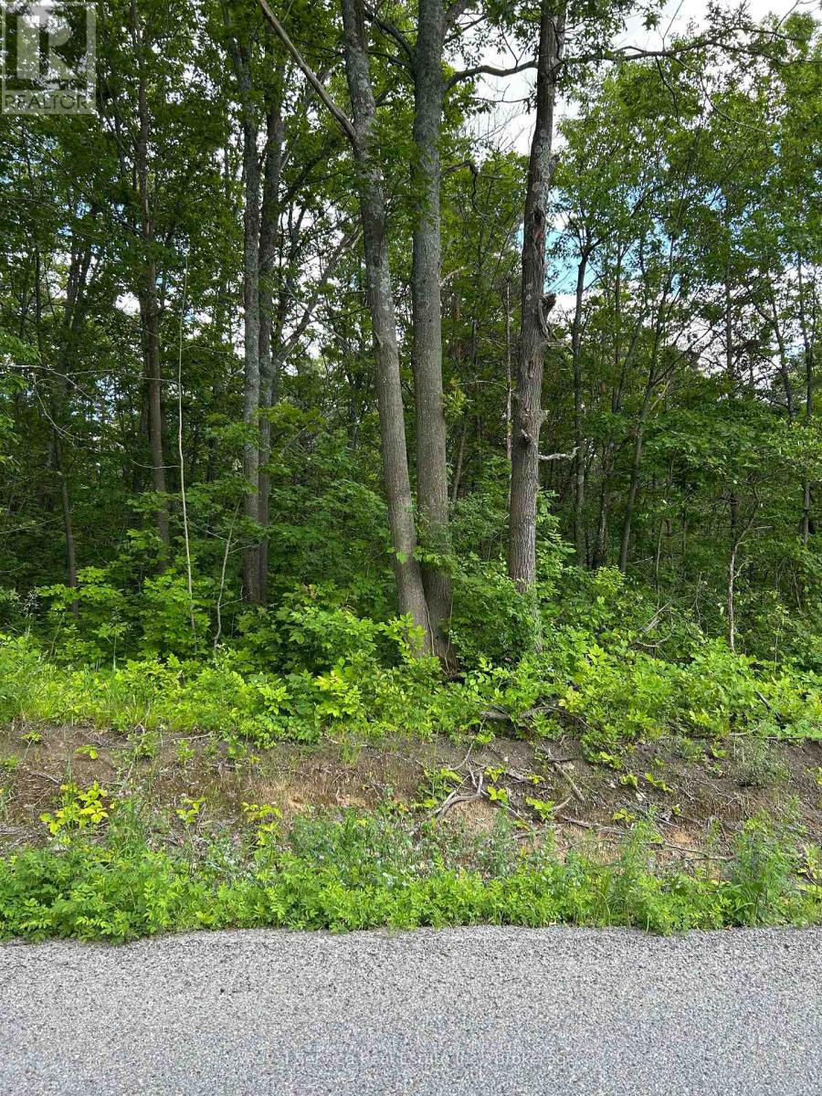 100, 104, AND 106 DINGMAN ROAD