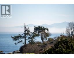 238 Richmond Ave, Victoria, BC V8S3X8 Photo 45
