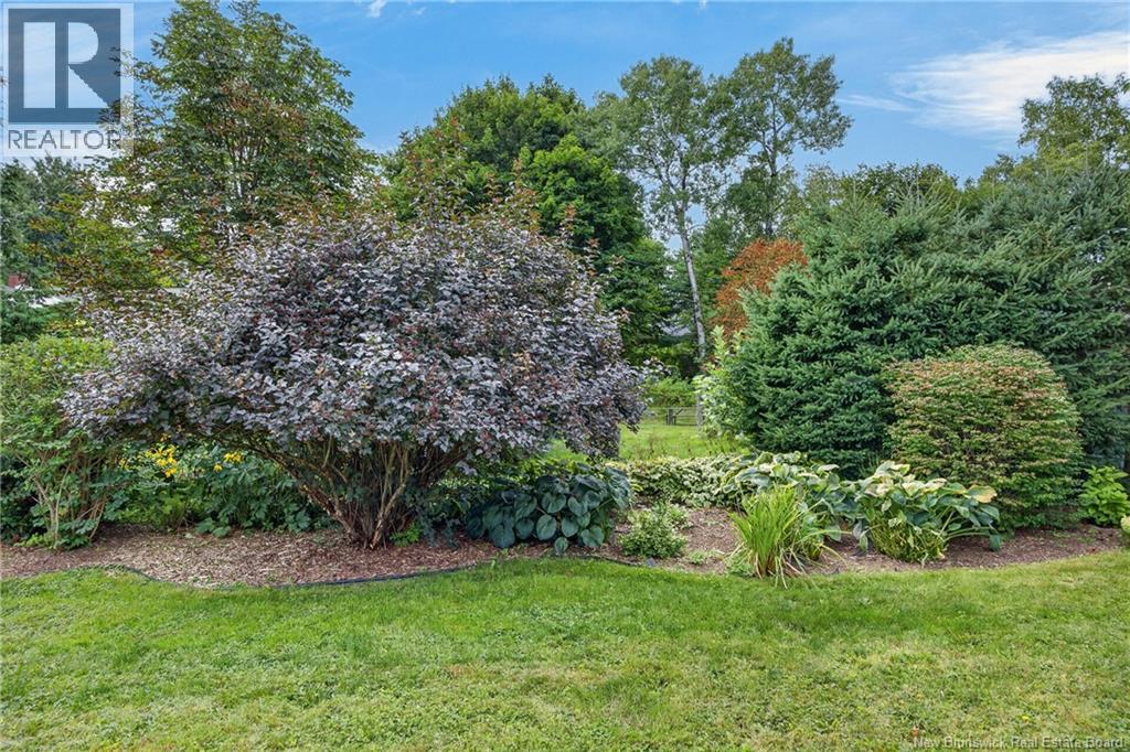 815 Mitchell Street - Image 49