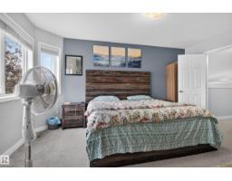 3746 12 Street Nw Nw, Edmonton, AB T6T0E6 Photo 18