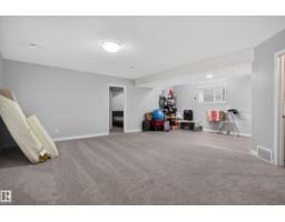 3746 12 Street Nw Nw, Edmonton, AB T6T0E6 Photo 21
