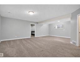 3746 12 Street Nw Nw, Edmonton, AB T6T0E6 Photo 23