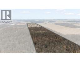 1344 South Malden, Essex, ON N8M2X6 Photo 6