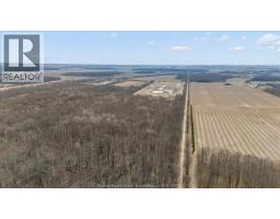 1344 South Malden, Essex, ON N8M2X6 Photo 7