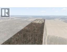 1344 South Malden, Essex, ON N8M2X6 Photo 8