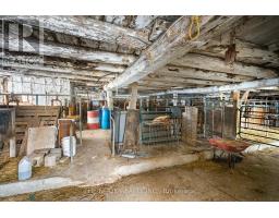1245 Concession 3 Road, Brock, ON L0K1A0 Photo 35