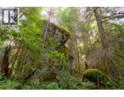 9600 Comox Trail, Port Alberni, BC V9Y8N8 Photo 51