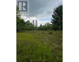 290 Pucker Street, Horton, ON K7V3Z9 Photo 17