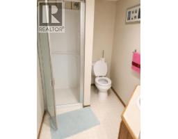 110 Howard Street, Halkirk, AB T0C1M0 Photo 24