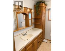 3pc Bathroom - 110 Howard Street, Halkirk, AB T0C1M0 Photo 10
