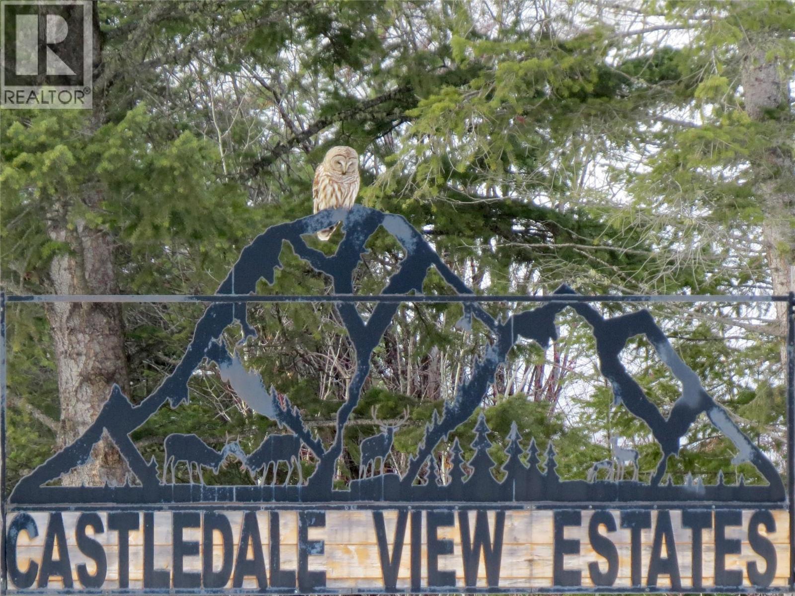 4905 Castledale View Estates Road - 4