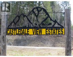 4905 Castledale View Estates Road Road, Golden, BC V0A1L0 Photo 61