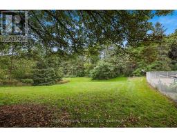 20369 Centre Street, East Gwillimbury, ON L0G1M0 Photo 38