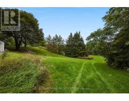 20369 Centre Street, East Gwillimbury, ON L0G1M0 Photo 42