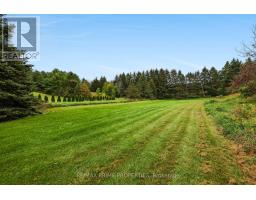 20369 Centre Street, East Gwillimbury, ON L0G1M0 Photo 43