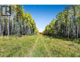 336 Street W, Rural Foothills County, AB T0L1W0 Photo 10