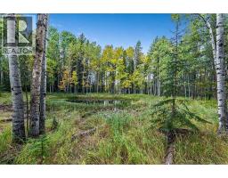 336 Street W, Rural Foothills County, AB T0L1W0 Photo 11