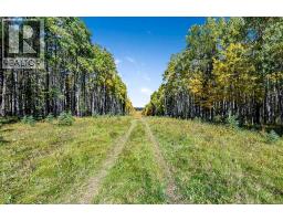 336 Street W, Rural Foothills County, AB T0L1W0 Photo 17