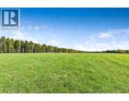 336 Street W, Rural Foothills County, AB T0L1W0 Photo 19
