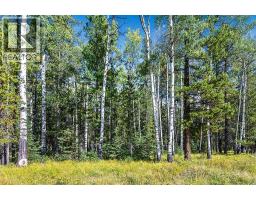 336 Street W, Rural Foothills County, AB T0L1W0 Photo 20