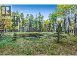 336 Street W, Rural Foothills County, AB T0L1W0 Photo 12