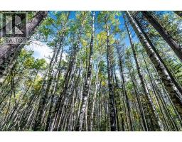 336 Street W, Rural Foothills County, AB T0L1W0 Photo 15