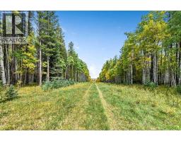 336 Street W, Rural Foothills County, AB T0L1W0 Photo 9