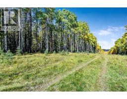 336 Street W, Rural Foothills County, AB T0L1W0 Photo 16