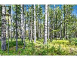 336 Street W, Rural Foothills County, AB T0L1W0 Photo 21